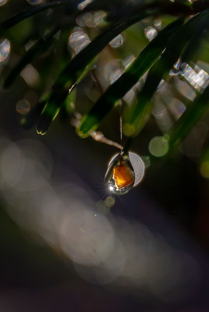 Photograph by Наталья Афанасьева