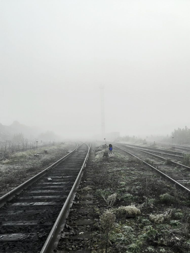 Photograph by Михаил Денисенко