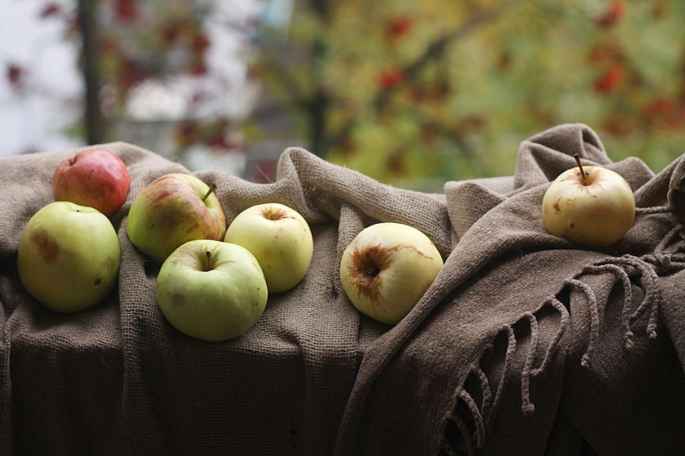 Photograph by Лада Кляузина