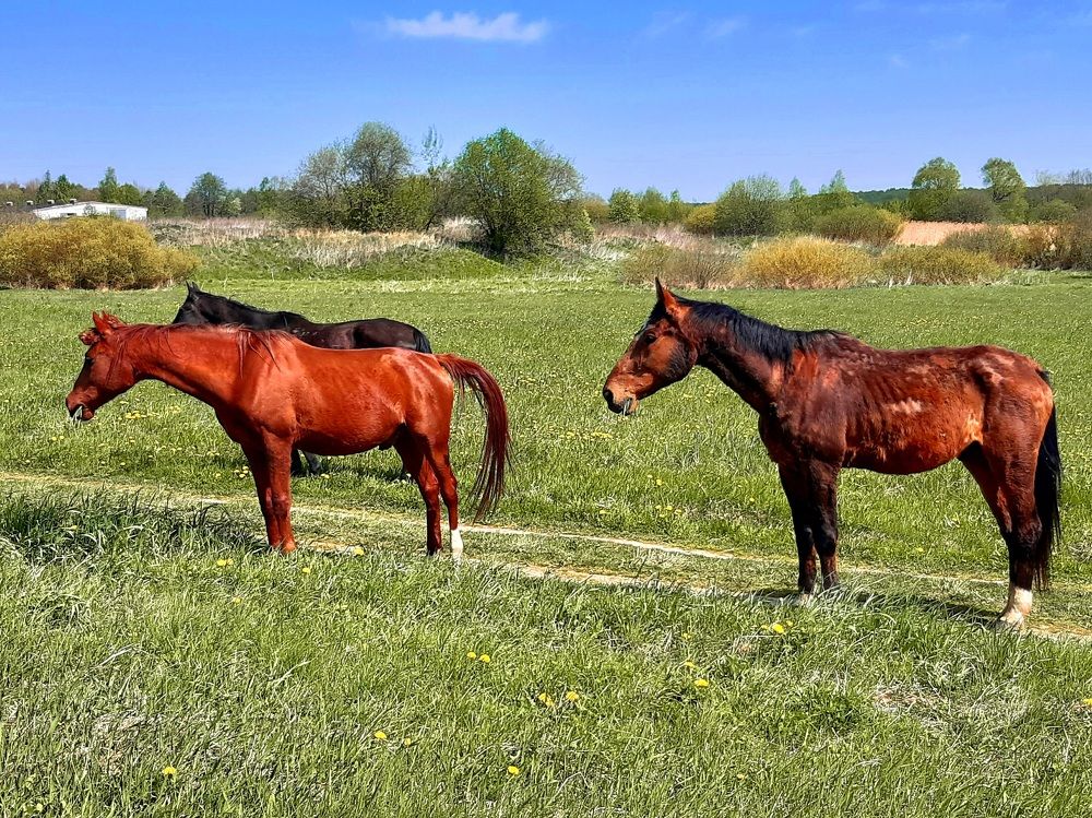 Photograph by Екатерина