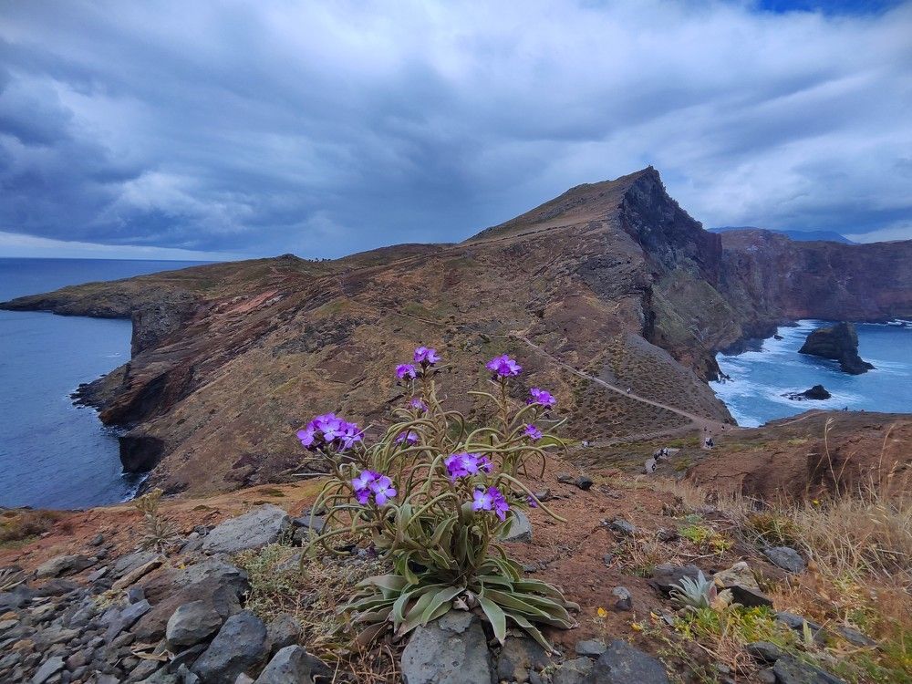 Photograph by Diana Kozlova