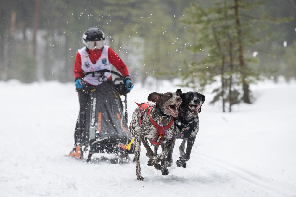 Photograph by Илья Юфа