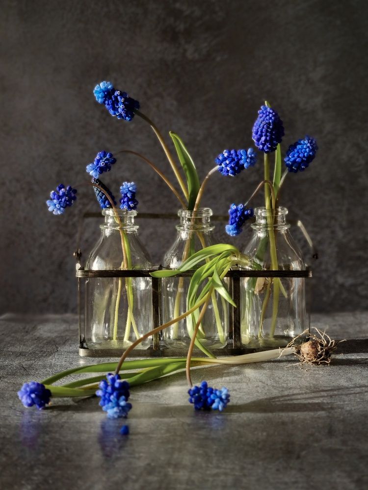 Photograph by Татьяна Никкарева