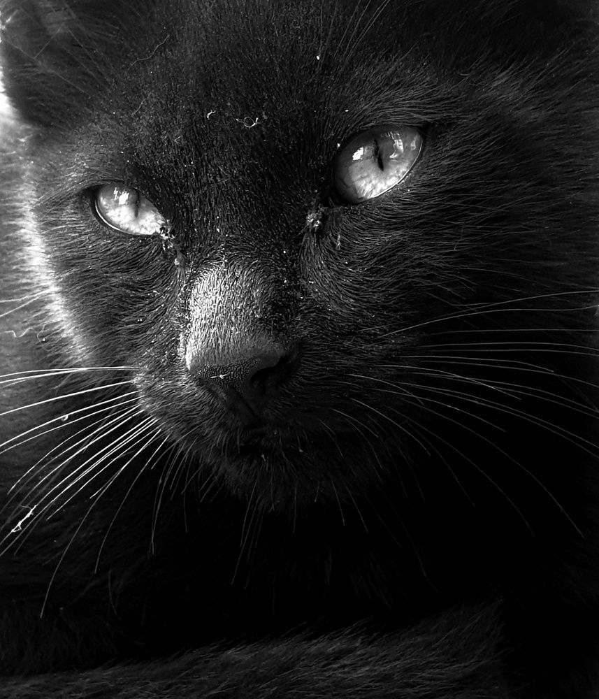 Photograph by Ahmad LOUKILI