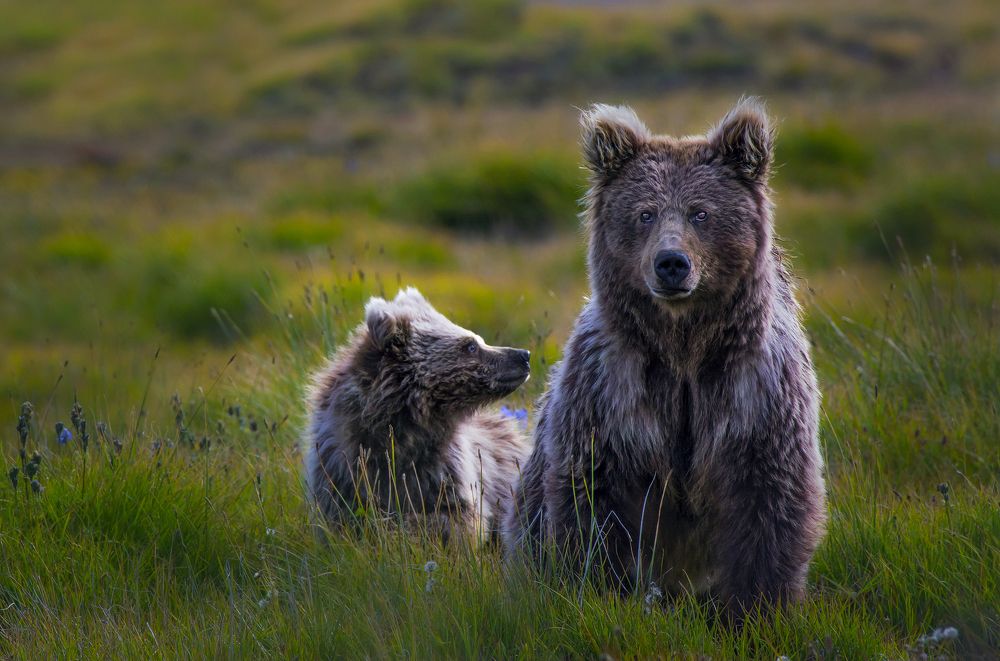 Photograph by Yasir Mehmood