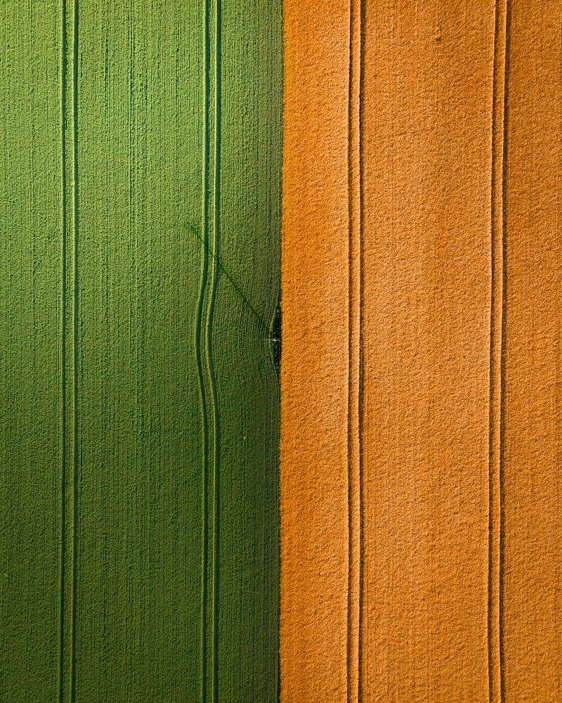 Photograph by Yantsen Alina