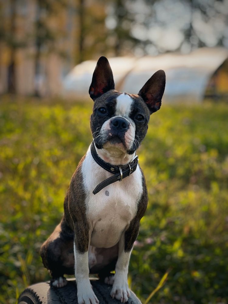 Photograph by Анжелика Александрова