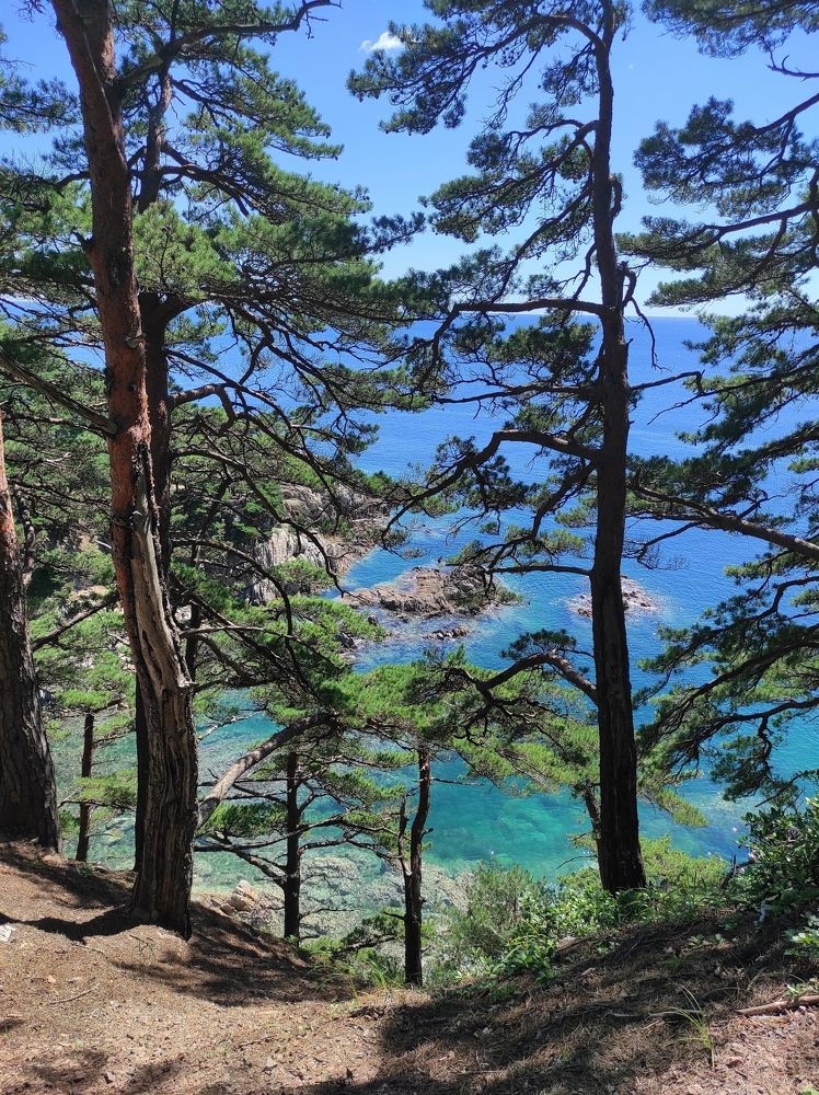 Photograph by Светлана Башаева