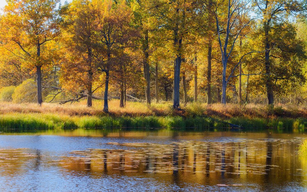 Photograph by Сергей Дишук