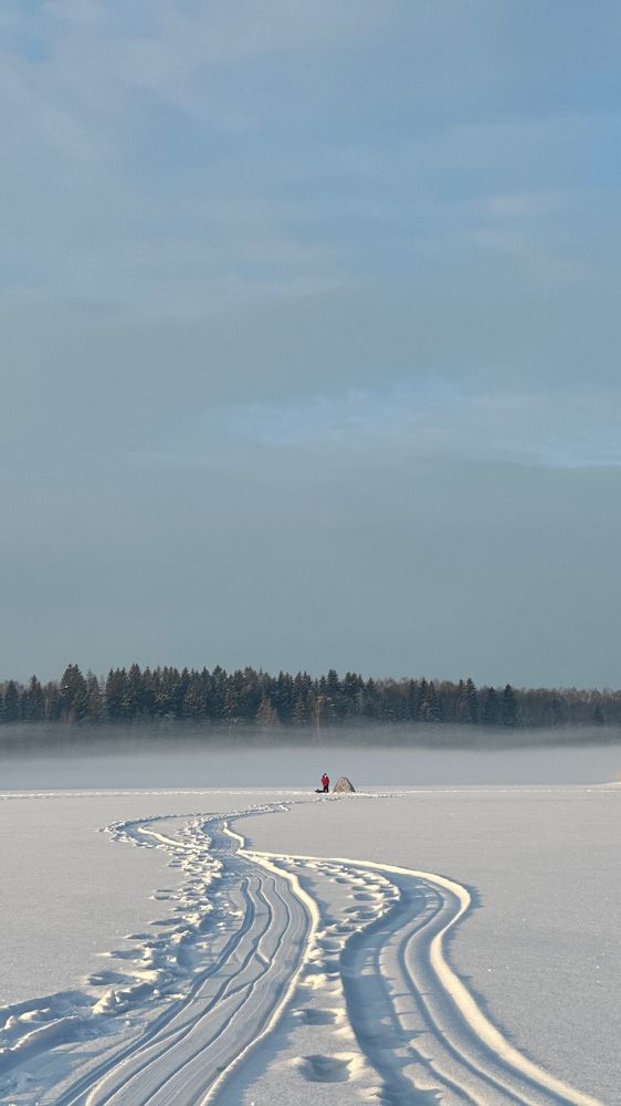 Photograph by Светлана