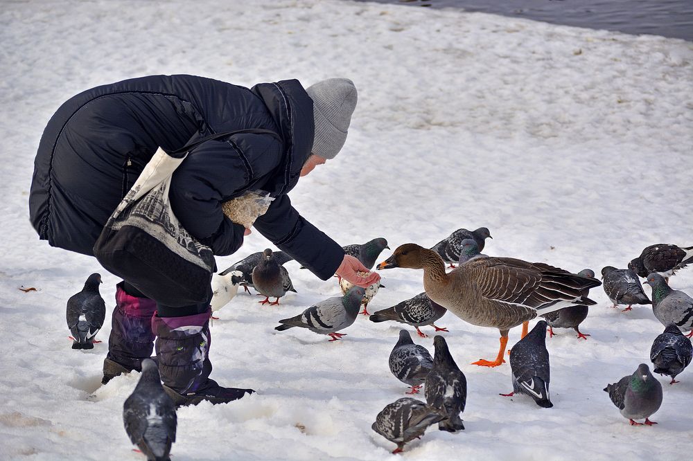Photograph by Александр Калегин
