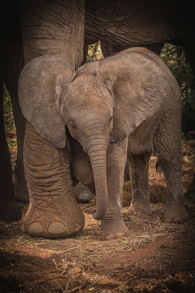 Photograph by Keith Carey