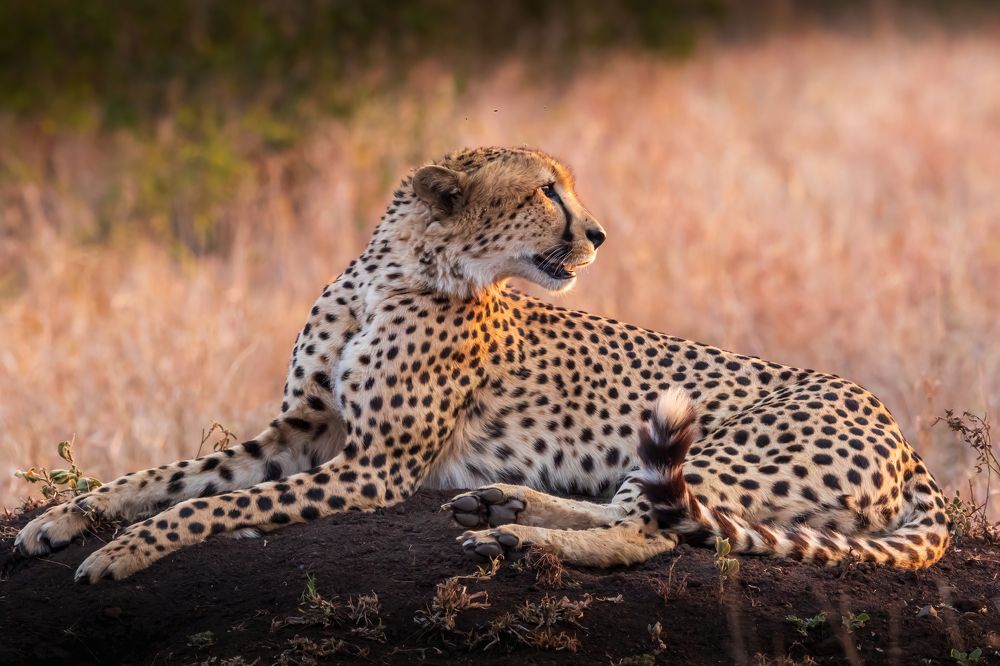 Photograph by Keith Carey