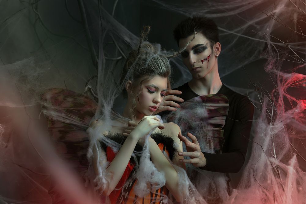 Паук и бабочка