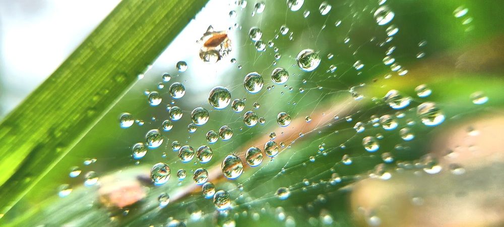 Фотография автора Можаев Сергей