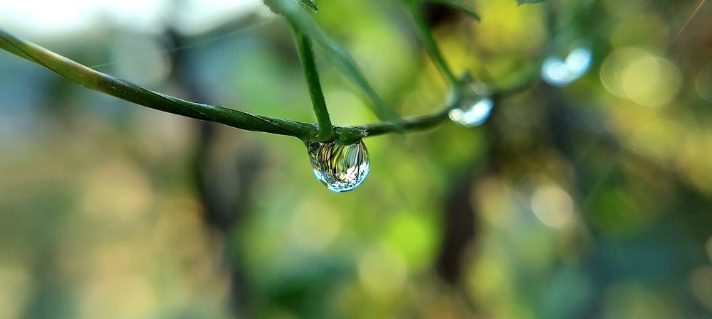 Фотография автора Можаев Сергей