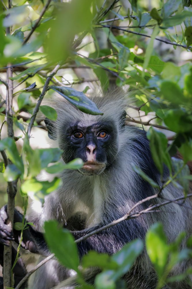 Photograph by Ellen Lichtenheldt