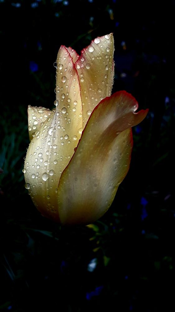 Photograph by Татьяна Солтан