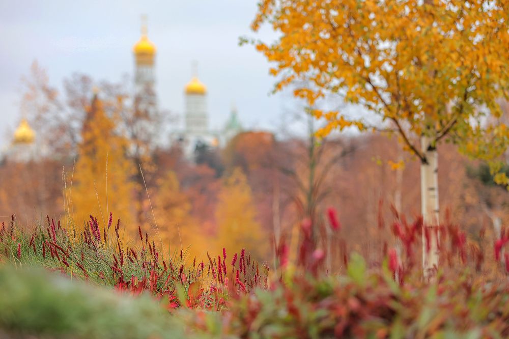 Осень в Зарядье