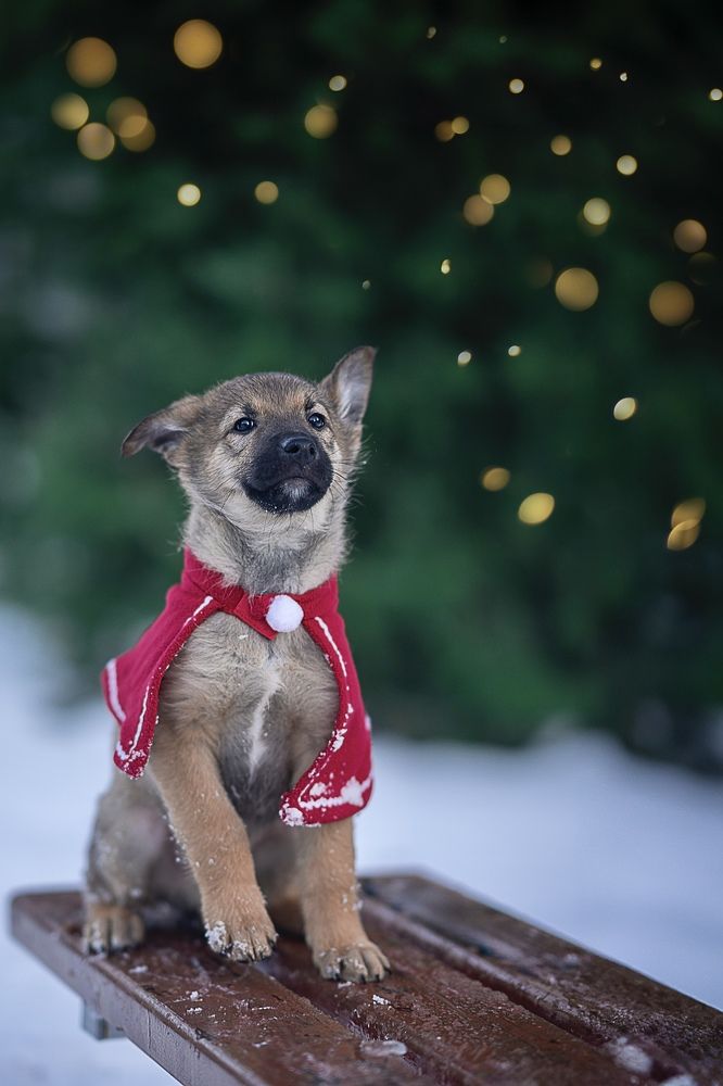 Photograph by Екатерина Васильева