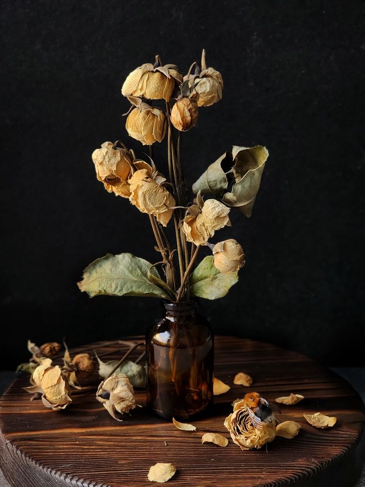 Photograph by Ольга Воронцова