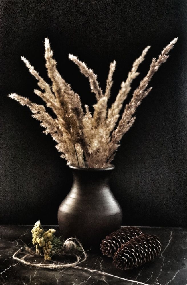 Photograph by Елена Рудкевич