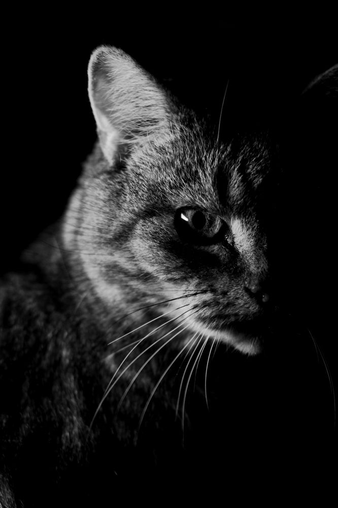 Photograph by Синицын Дмитрий