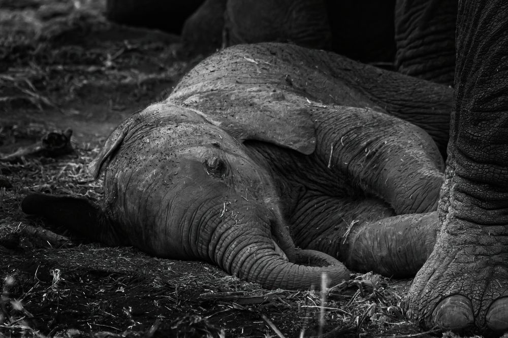 Photograph by Keith Carey