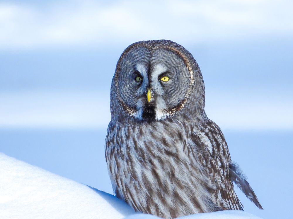 Photograph by Игорь Степанов