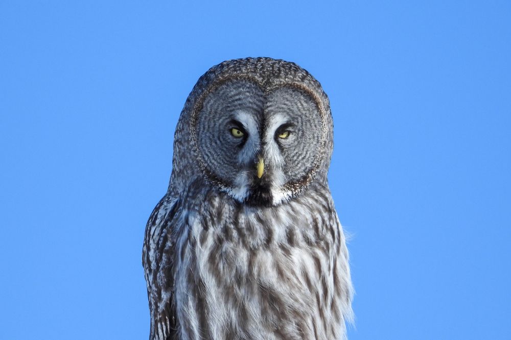 Photograph by Игорь Степанов