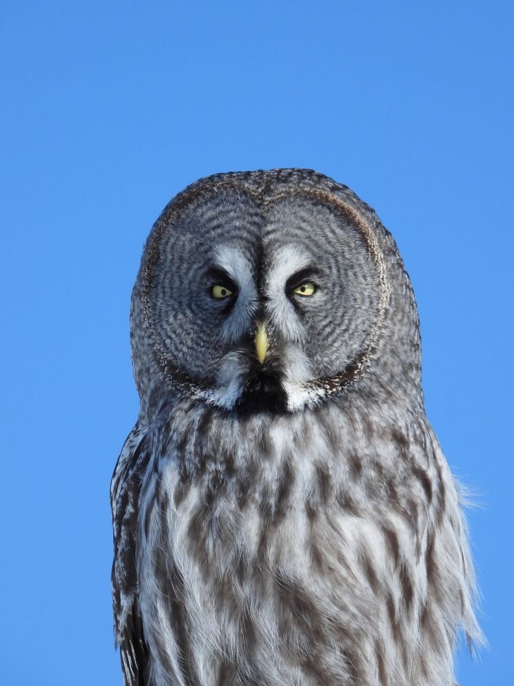 Photograph by Игорь Степанов