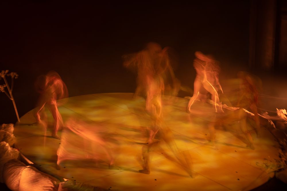 Photograph by Olesya Vladimirova