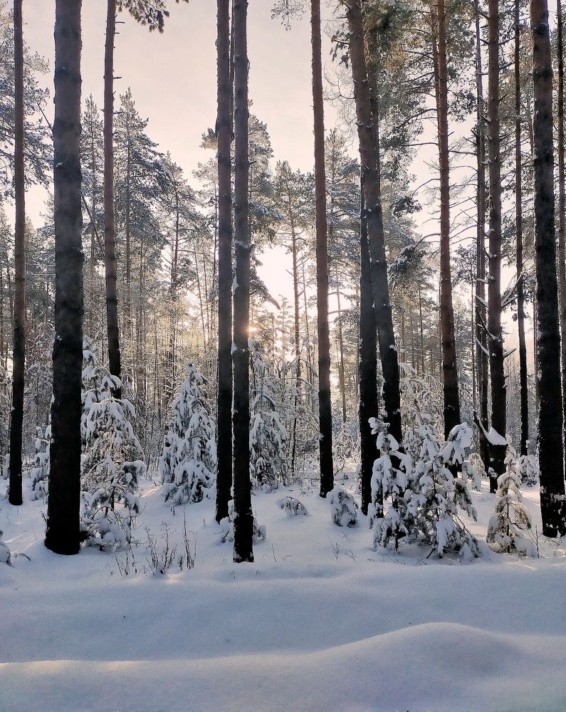 Photograph by Ольга Мартьянова