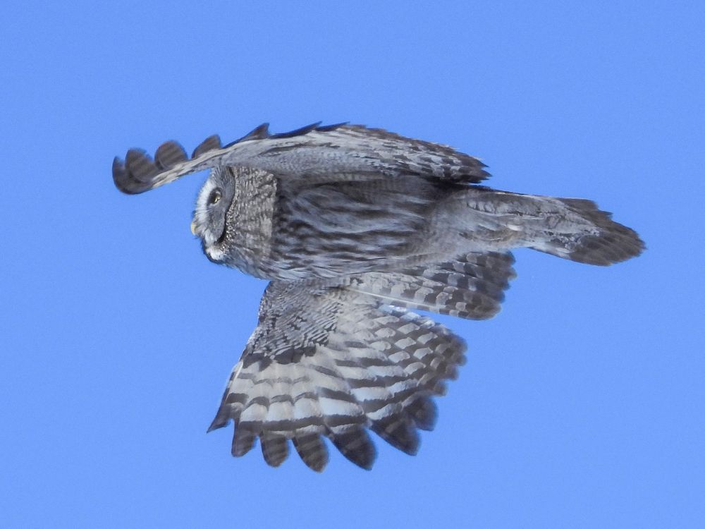 Photograph by Игорь Степанов