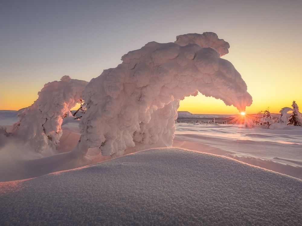 Photograph by Михаил Шаньгин