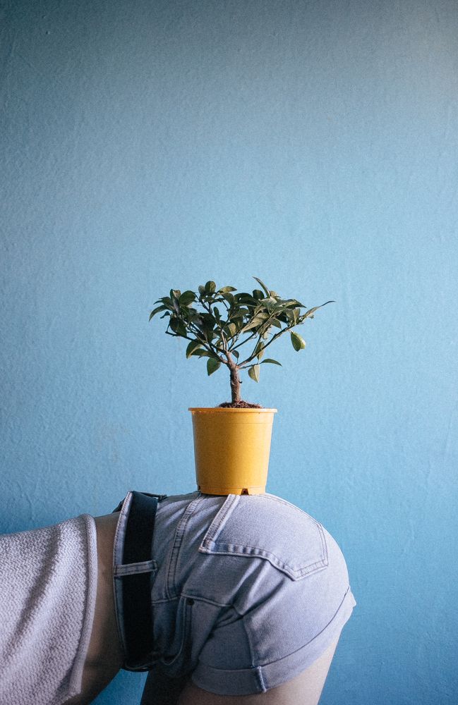 Девочка с лимоном