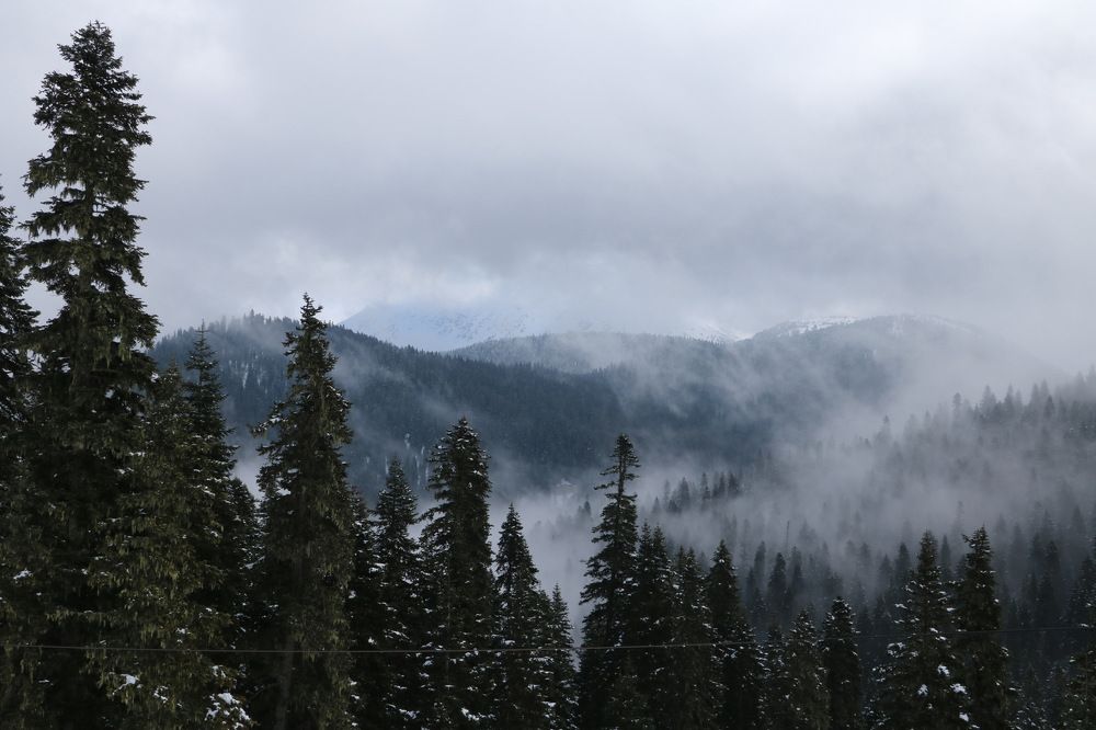 Photograph by Cengiz Yalcin