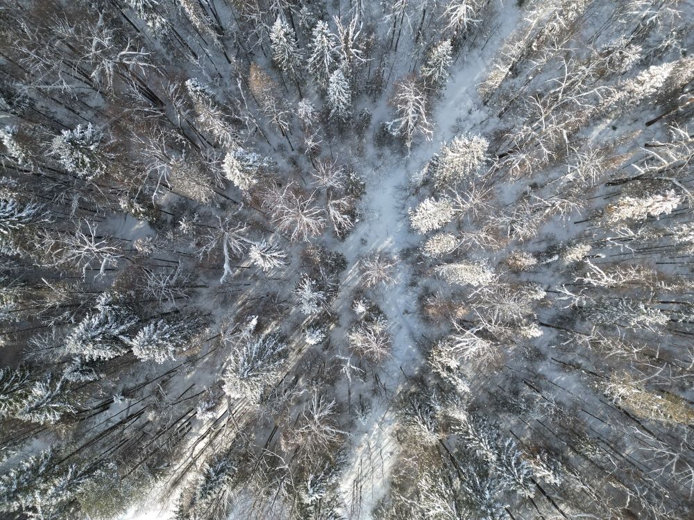 Фотография автора Роман Салихов