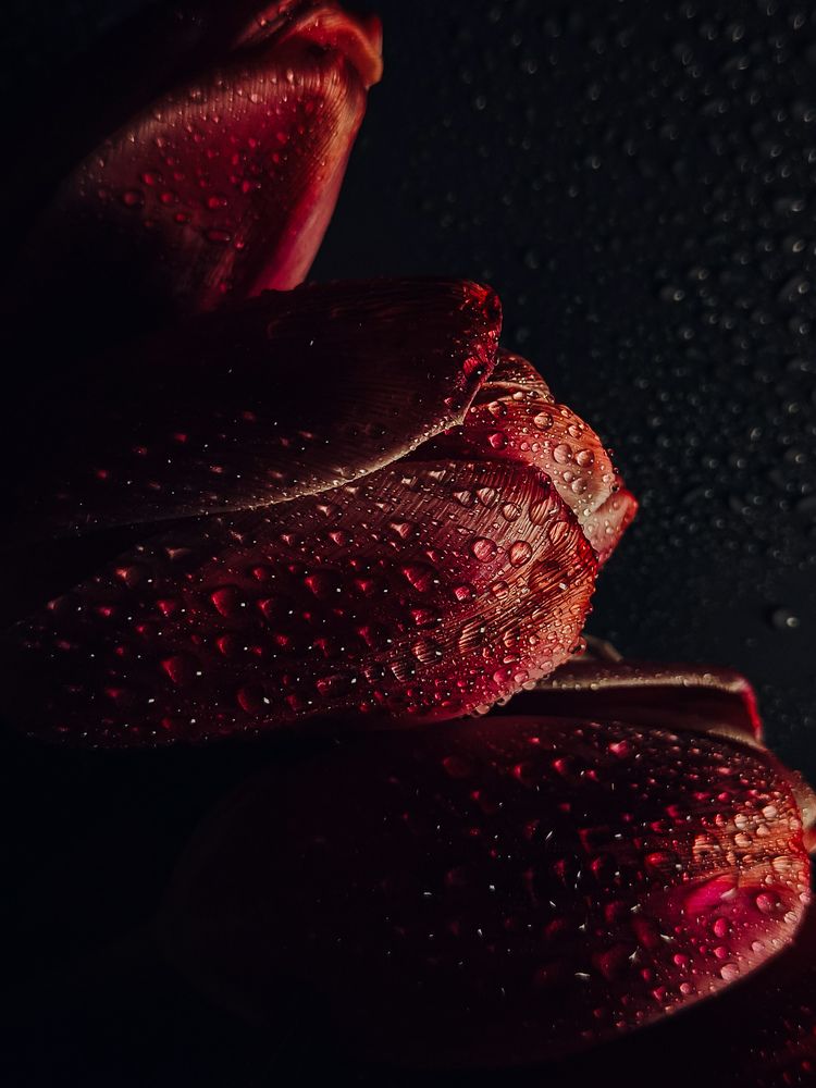 Photograph by Гульнара Зиангирова