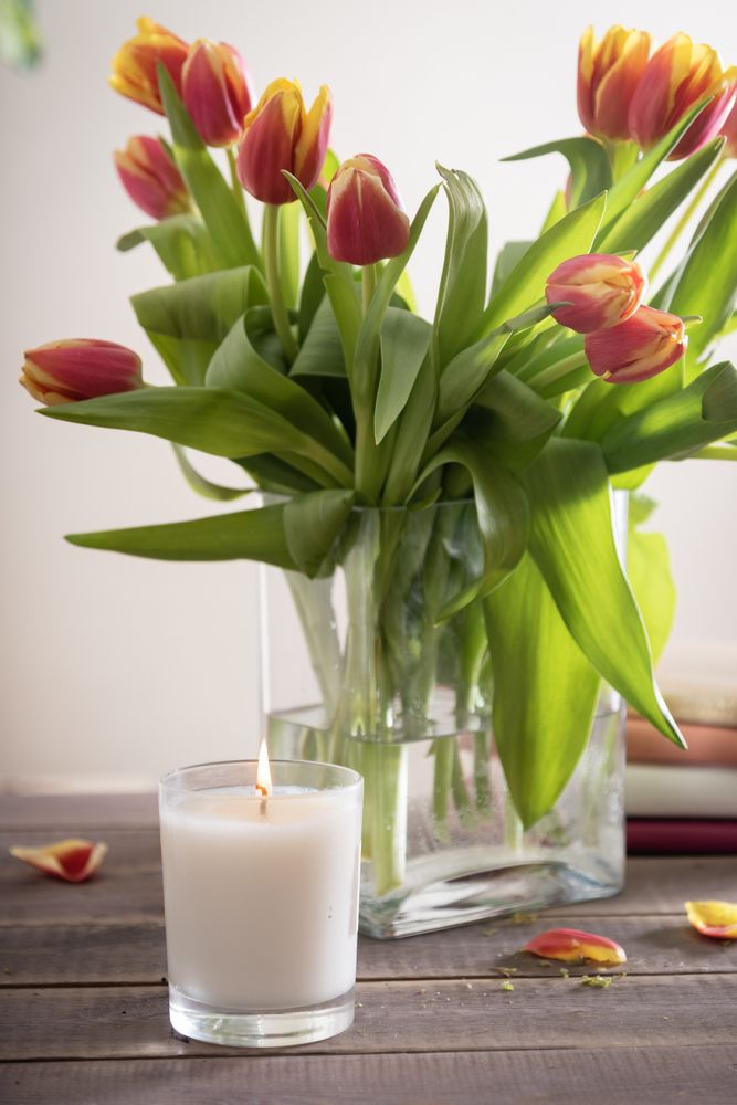 Photograph by Elena  Tagashova