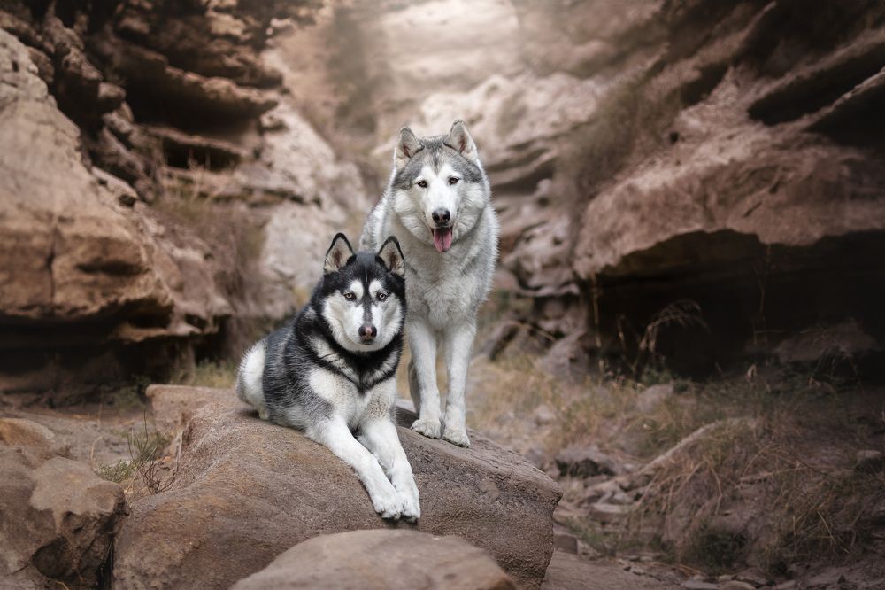 Photograph by Natalia Hidalgo