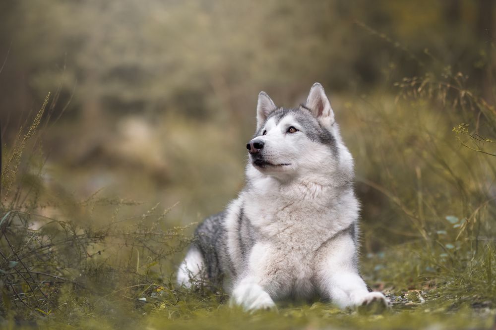 Photograph by Natalia Hidalgo