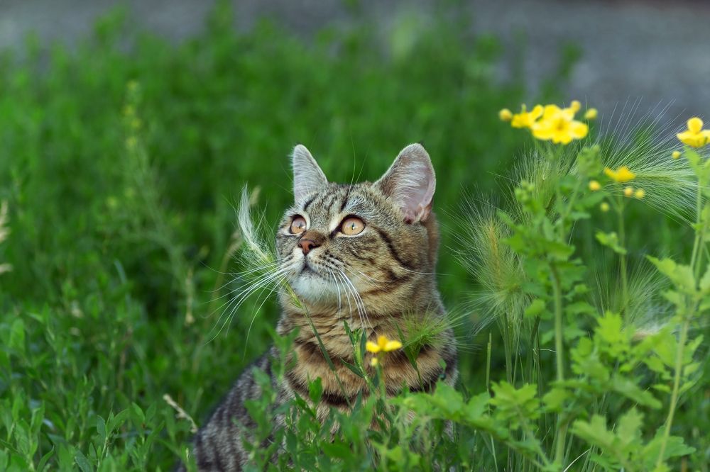 Photograph by Александр Канцур