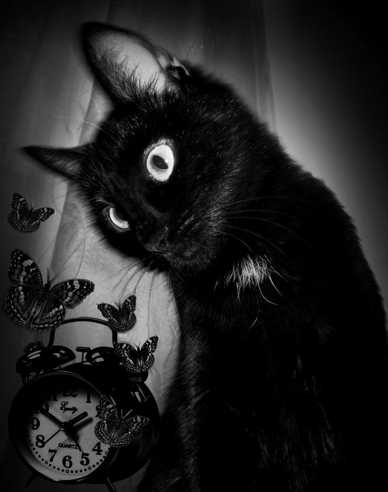 Photograph by Зоя Быкова