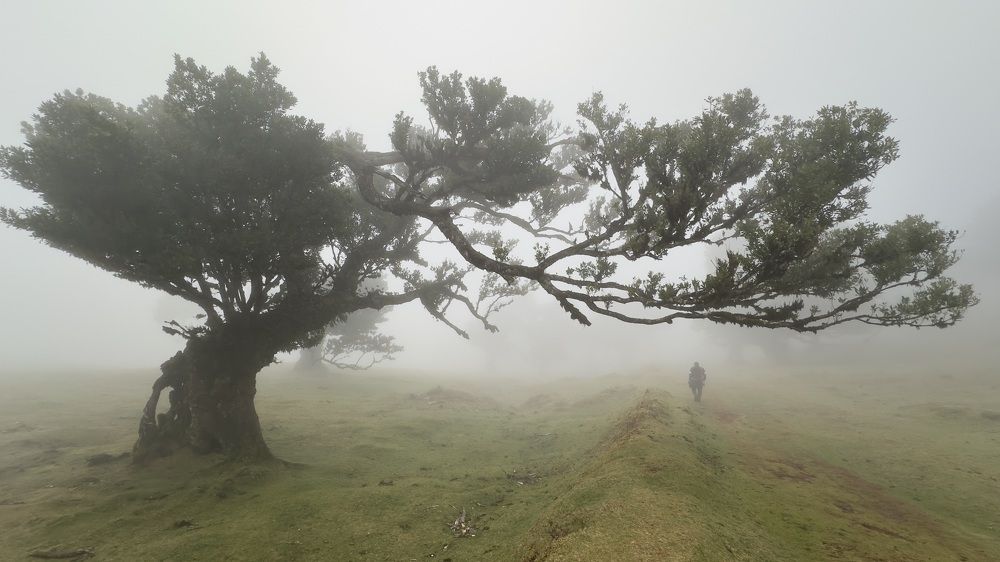 Photograph by Elena Sobol