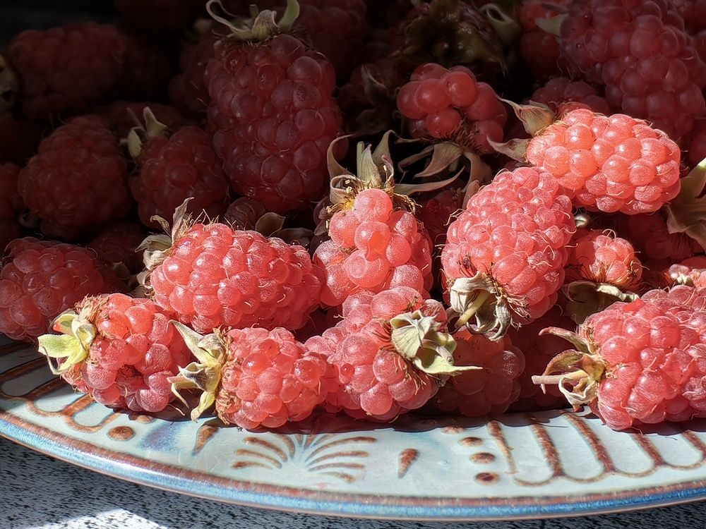 Photograph by Ирина Ветюгова