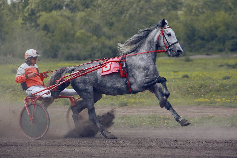 Photograph by Любовь Похабова