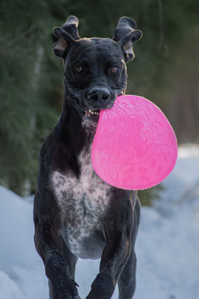 Фотография автора Ritus20018