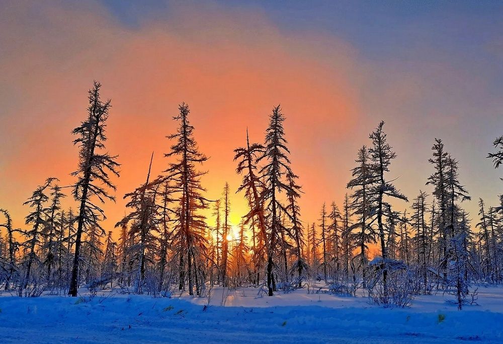 Photograph by Галина Искандарова