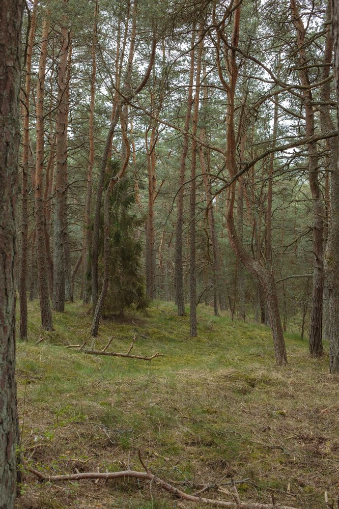 Photograph by Евгения Булычёва